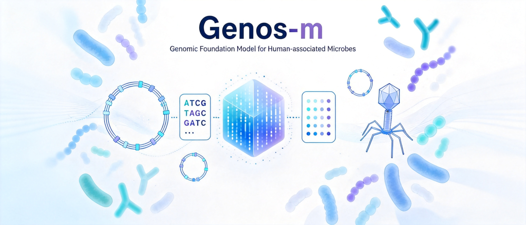 Genos-m微生物、噬菌体和DNA表征概念图