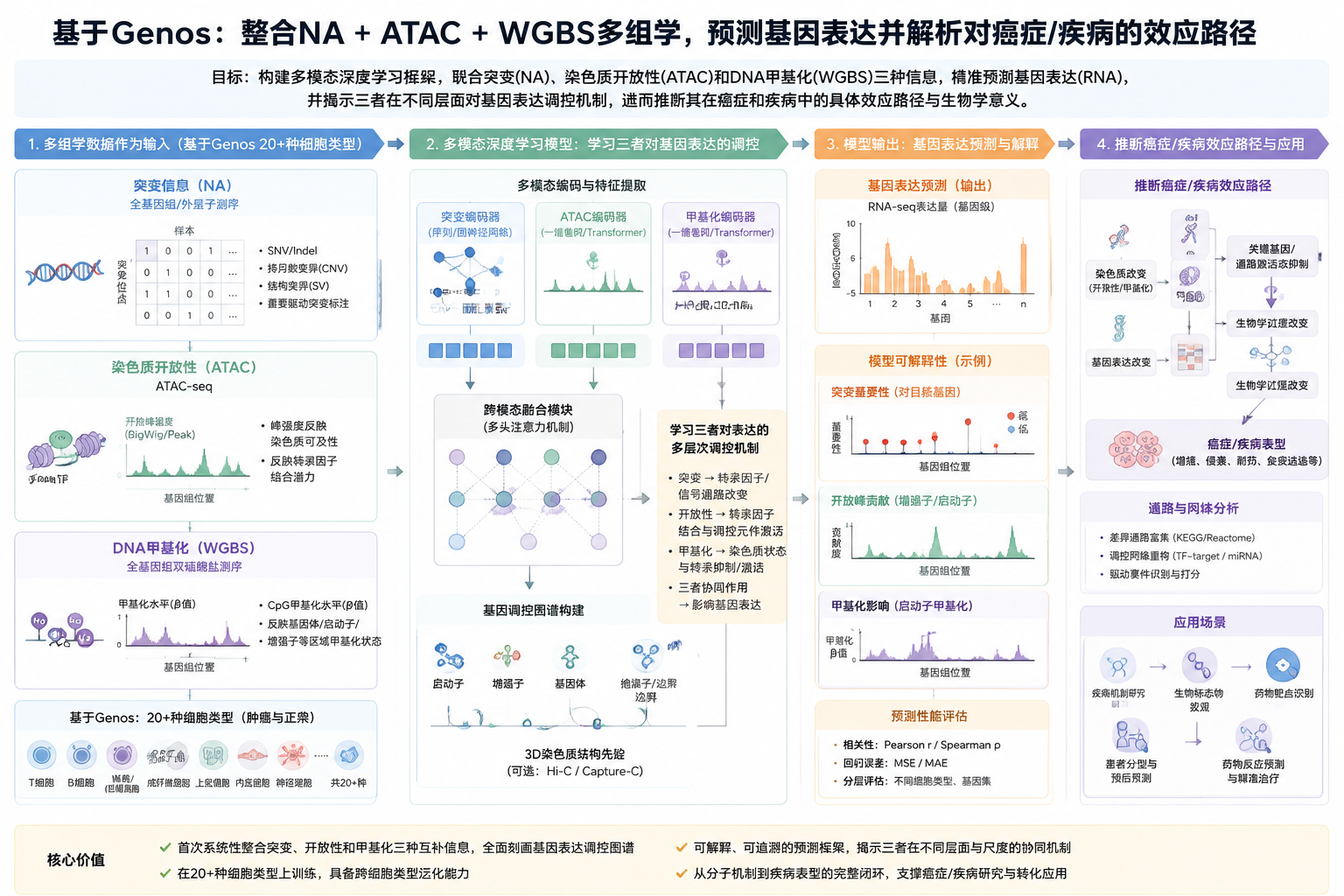 融合突变信息、ATAC与WGBS甲基化的多模态研究方案